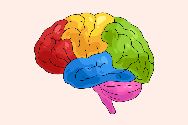 Neurodiversity: A Brief Overview