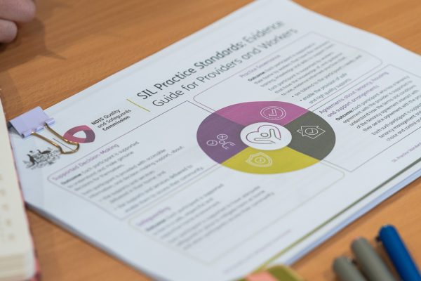 Introduction to the SIL Practice Standards
